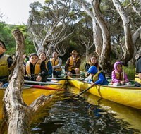 Margaret River Canoe Tour Including Lunch - Northern Rivers Accommodation