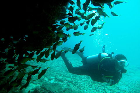 Scuba Dive Ningaloo Reef - Northern Rivers Accommodation 0