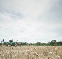Electric Bike Winery and Brewery Tour - Northern Rivers Accommodation
