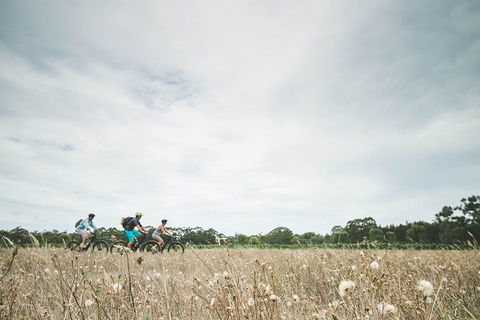 Electric Bike Winery And Brewery Tour - Northern Rivers Accommodation 0