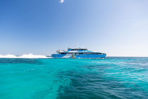 Rottnest Island Bike, Snorkel & Ferry Package From Fremantle - Northern Rivers Accommodation 5