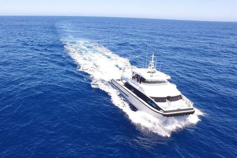 Augusta Whale Watching Eco Tour - Northern Rivers Accommodation 8