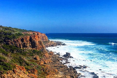 Guided Walks On The Cape To Cape - Wilyabrup Cliffs - Northern Rivers Accommodation 2