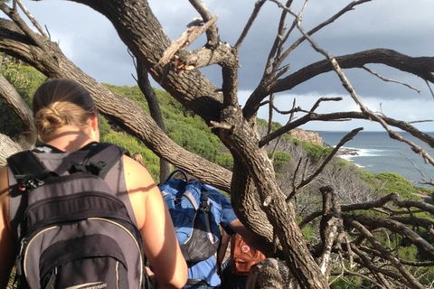 Guided Walks On The Cape To Cape - Wilyabrup Cliffs - Northern Rivers Accommodation 6