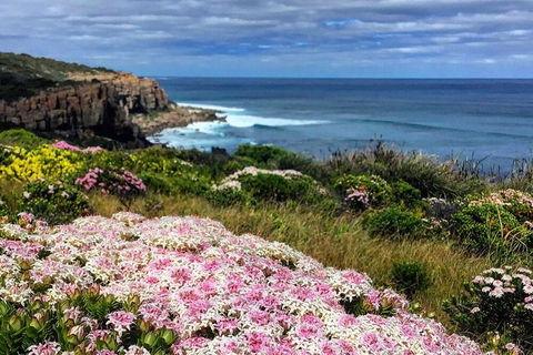 Guided Walks On The Cape To Cape - Wilyabrup Cliffs - Northern Rivers Accommodation 3