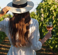 7 Hour Full Day Tour Morning Tea Chocolate Olives 3 Wineries  Lunch - Northern Rivers Accommodation