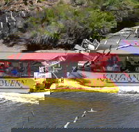 Kalgan Queen Scenic Cruises a four hour sheltered water wildlife tour daily fun.