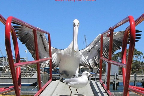 Kalgan Queen Scenic Cruises A Four Hour Sheltered Water Wildlife Tour Daily Fun. - Northern Rivers Accommodation 1