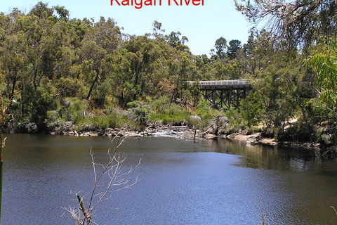 Kalgan Queen Scenic Cruises A Four Hour Sheltered Water Wildlife Tour Daily Fun. - Northern Rivers Accommodation 3
