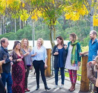 Half Day Gourmet Wine Tour - Northern Rivers Accommodation