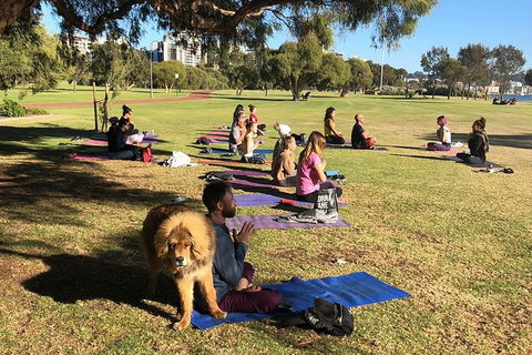 Yoga In The Park - Northern Rivers Accommodation 6