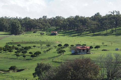 Perth Hills, York And Wave Rock 2 Day Private Tour - Northern Rivers Accommodation 1