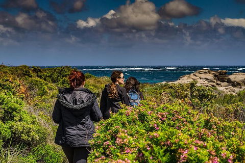Guided Walks On The Cape To Cape - Redgate Beach To Boranup Forest - Northern Rivers Accommodation 1