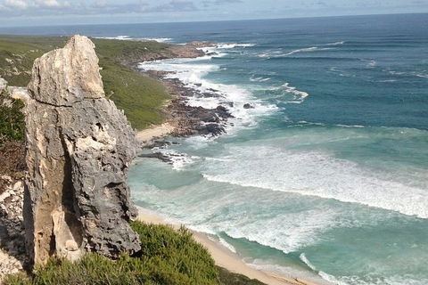 Guided Walks On The Cape To Cape - Redgate Beach To Boranup Forest - Northern Rivers Accommodation 4