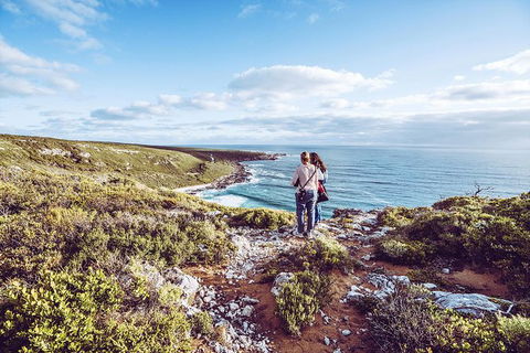 Guided Walks On The Cape To Cape - Redgate Beach To Boranup Forest - Northern Rivers Accommodation 6