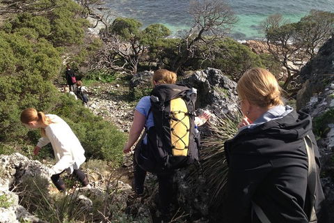 Guided Walks On The Cape To Cape - Redgate Beach To Boranup Forest - Northern Rivers Accommodation 5