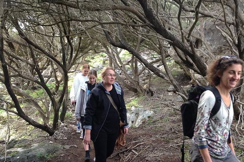 Guided Walks On The Cape To Cape - Redgate Beach To Boranup Forest - Northern Rivers Accommodation 3