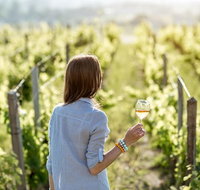 5 Hours Wineries Coffee Tasting Forest  Lunch at the Berry Farm - Northern Rivers Accommodation