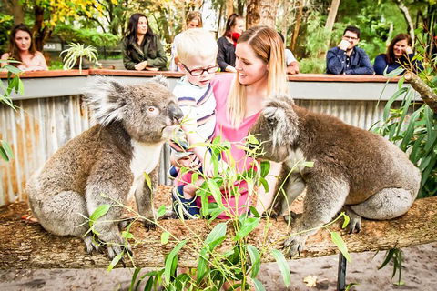 Perth's Outback Splash: General Entry Ticket - Northern Rivers Accommodation 1