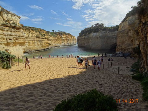 Great Ocean Road Small-Group Ecotour From Melbourne - Northern Rivers Accommodation 23