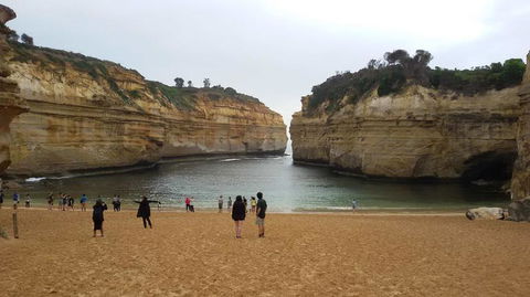 Great Ocean Road Small-Group Ecotour From Melbourne - Northern Rivers Accommodation 20