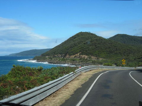Great Ocean Road Small-Group Ecotour From Melbourne - Northern Rivers Accommodation 3
