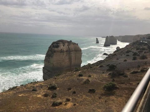 Great Ocean Road Small-Group Ecotour From Melbourne - Northern Rivers Accommodation 14