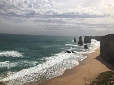Great Ocean Road Small-Group Ecotour From Melbourne - Northern Rivers Accommodation 15