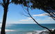 Great Ocean Road Small-Group Ecotour From Melbourne - thumb 4