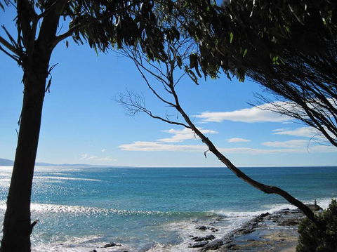 Great Ocean Road Small-Group Ecotour From Melbourne - Northern Rivers Accommodation 4