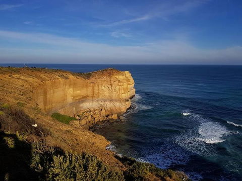 Great Ocean Road Small-Group Ecotour From Melbourne - Northern Rivers Accommodation 9