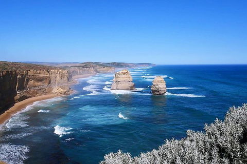 Great Ocean Road Small-Group Ecotour From Melbourne - Northern Rivers Accommodation 31