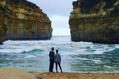 Great Ocean Road Small-Group Ecotour From Melbourne - Northern Rivers Accommodation 29