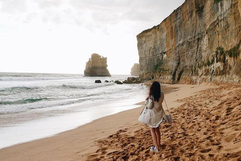 Great Ocean Road Small-Group Ecotour From Melbourne - Northern Rivers Accommodation 27