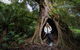 Great Ocean Road Small-Group Ecotour From Melbourne - thumb 32
