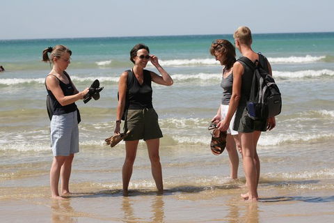 Great Ocean Road Small-Group Ecotour From Melbourne - Northern Rivers Accommodation 34