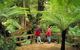 Great Ocean Road Small-Group Ecotour From Melbourne - thumb 28