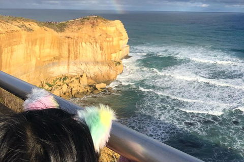 Great Ocean Road Private Tour - Northern Rivers Accommodation 7