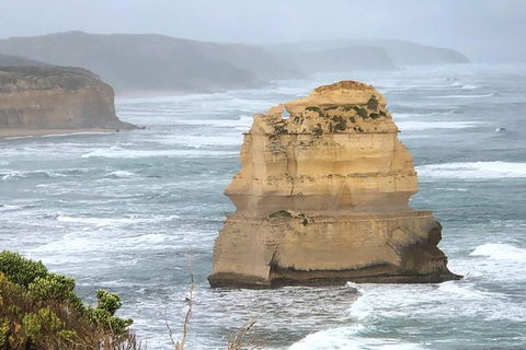 Great Ocean Road Private Tour - Northern Rivers Accommodation 4