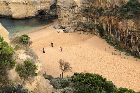 Great Ocean Road Private Tour - Northern Rivers Accommodation 5