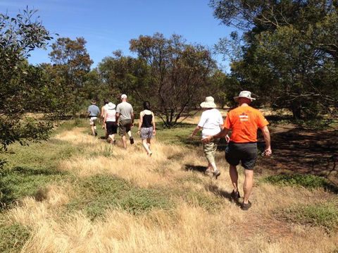 Koalas And Kangaroo In The Wild Tour From Melbourne - Northern Rivers Accommodation 19