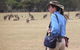 Koalas And Kangaroo In The Wild Tour From Melbourne - thumb 30