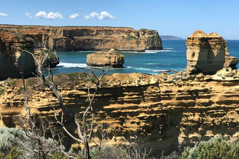 Great Ocean Road Reverse Itinerary Tour - Northern Rivers Accommodation 10