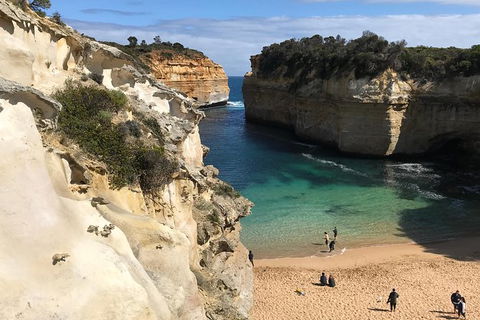 Great Ocean Road Reverse Itinerary Tour - Northern Rivers Accommodation 3