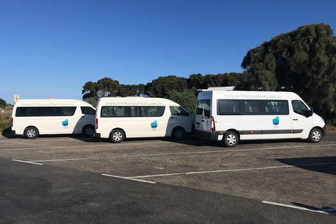 Great Ocean Road Reverse Itinerary Tour - Northern Rivers Accommodation 7