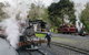 Puffing Billy Train With Optional Penguin Parade Or Melbourne City Tour - thumb 3