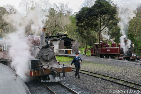 Puffing Billy Train With Optional Penguin Parade Or Melbourne City Tour - Northern Rivers Accommodation 3
