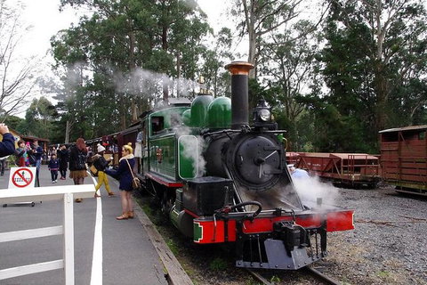Puffing Billy Train With Optional Penguin Parade Or Melbourne City Tour - Northern Rivers Accommodation 0