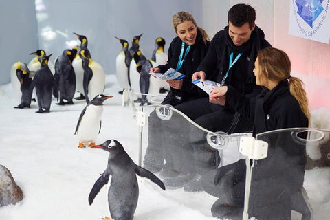 Penguin Passport At SEA LIFE Melbourne Aquarium - Northern Rivers Accommodation 7