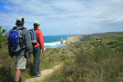 Great Walks Of Australia:4-Day Twelve Apostles Signature Walk OR 3 Day Long Wknd - Northern Rivers Accommodation 0